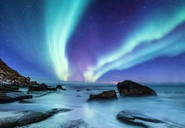 Aurora borealis Lofoten Adaları, Norveç. Okyanus kıyısında yukarıda yeşil Kuzey ışıkları. Kutup ışıkları ile gece gökyüzü. Aurora ve su yüzeyinde yansıma ile gece kış manzarası. Norveç'te doğal arka plan