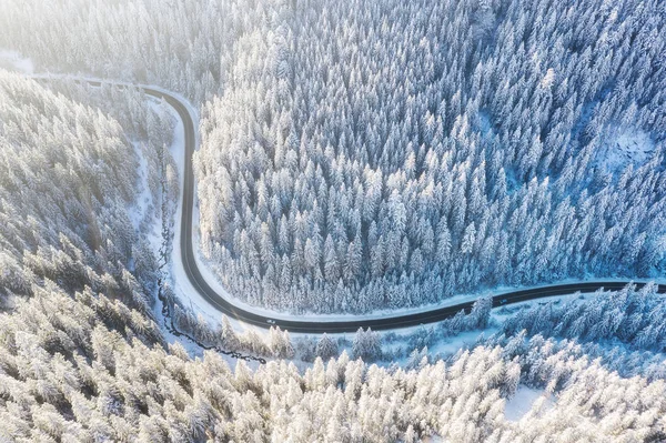 道路と冬時間で森の空中写真 空気から自然な冬の風景です 冬は雪の下で森林の時間 ドローンから風景します — ストック写真