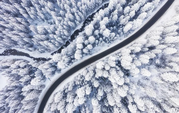 Vista Aérea Estrada Floresta Inverno Paisagem Natural Inverno Floresta Abaixo — Fotografia de Stock