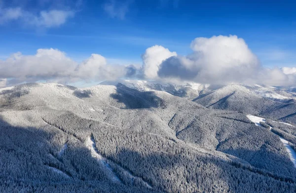 Aerial View Slope Ski Resort Forest Ski Slope Air Winter — Stock Photo, Image