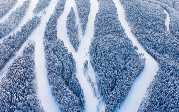 滑雪场斜坡上的鸟图 空中的森林和滑雪坡 来自无人机的冬季景观 滑雪场上的雪景 航空摄影 — 图库照片