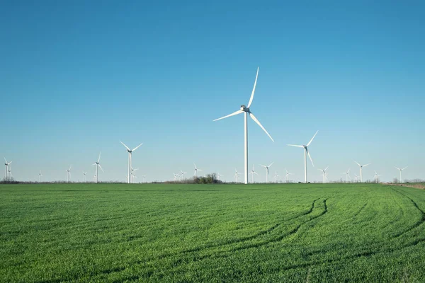 風力発電フィールドにします 技術と技術革新 グリーン エネルギーの組成物 風力タービン 産業景観 — ストック写真