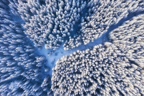 Vista Aérea Carretera Bosque Invierno Paisaje Natural Invierno Desde Aire — Foto de Stock