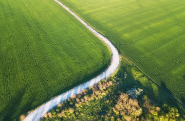 Havadan görünümü yol ve alan. Tarım manzara--dan soluduğumuz hava. Alan ve yol. Yaz saati çiftlikte. Uçak fotoğraf. Alan ve yol-resim