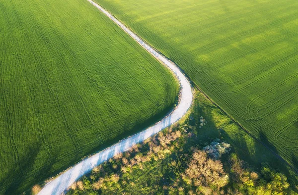 Vista Aérea Estrada Campo Paisagem Agrícola Campo Estrada Fazenda Hora — Fotografia de Stock