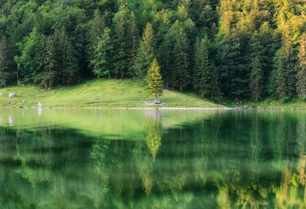 Wald Und Türkisfarbener See Der Schweiz Wald Und Reflexion Der — Stockfoto