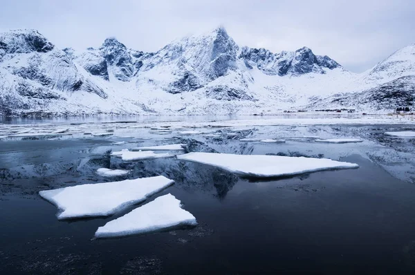 Hegygerinc Jég Befagyott Felülete Természeti Táj Lofoten Szigetek Norvégia Víz — Stock Fotó