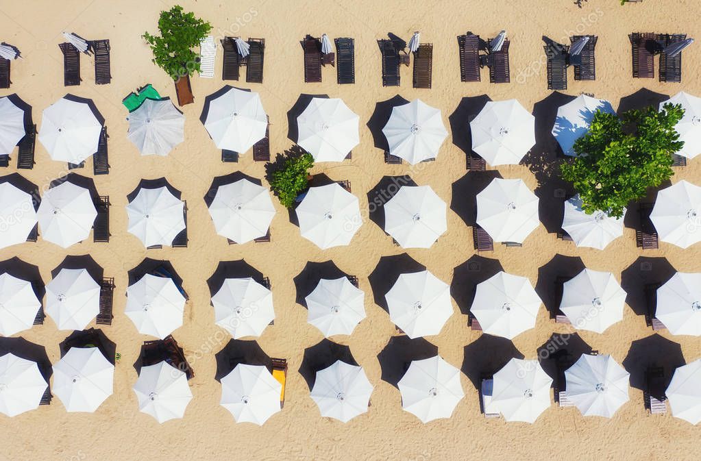 Umbrellas as a background from top view. Beach and sand background from top view. Summer seascape from air. Bali island, Indonesia. Travel - image