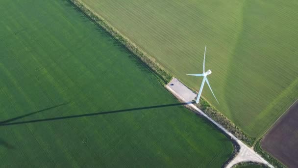 Elektrownia Wiatrowa Polu Krajobraz Lotniczy Elektrownią Wiatrową Koncepcja Koncepcja Alternatywnego — Wideo stockowe