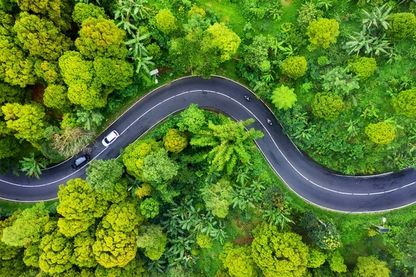 Pemandangan Udara Jalan Hutan Highway Throu Hutan Lihat Dari Pesawat — Stok Foto