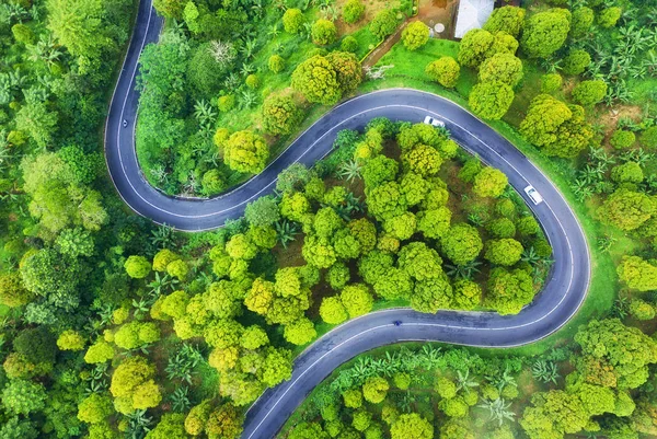 Flygbild Väg Skogen Motorväg Genom Skogen Utsikt Från Drönare Naturlandskap — Stockfoto