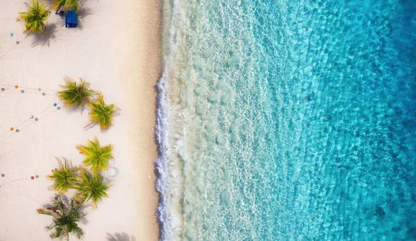 Playa Con Palmeras Océano Como Fondo Desde Vista Superior Fondo —  Fotos de Stock