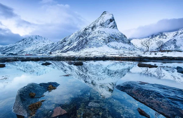 山の尾根や水面に反射します ノルウェーの自然景観 山と海 ノルウェー — ストック写真