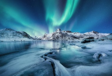 Aurora Borealis, Lofoten adaları, Norveç. Dağlar ve donmuş okyanus. Gece vakti kış manzarası. Northen ışığı - görüntü
