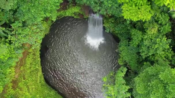 峡谷里的瀑布 美丽的自然景观从空中 印度尼西亚巴厘岛的空中景观 — 图库视频影像