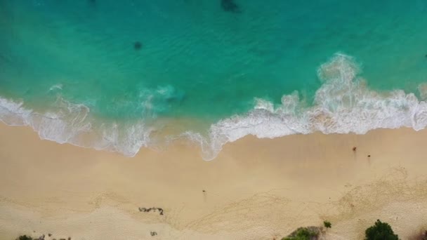 トップビューからの背景として海岸 上から見たターコイズブルーの水の背景 夏の海の空気から インドネシアのバリ島 ビデオ — ストック動画