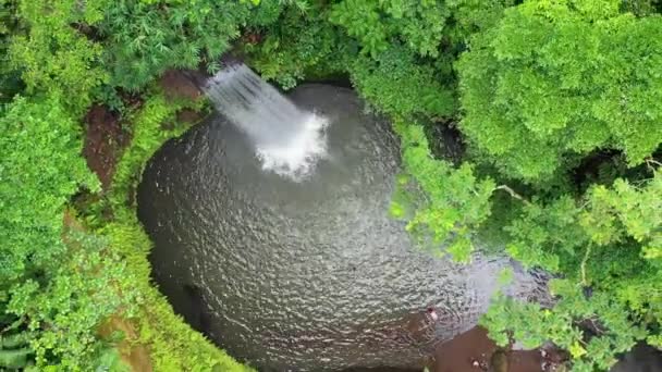 Luftaufnahme Eines Wasserfalls Auf Bali Indonesien Landschaft Aus Drohnen Indonesien — Stockvideo