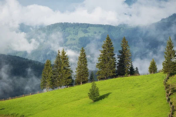 Ομιχλώδη Βουνά Και Χωράφια Δέντρα Τοπίο Μετά Βροχή Μια Άποψη — Φωτογραφία Αρχείου