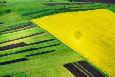 Sahaya havadan bak. Yaz mevsiminde tarım arazisi. İHA 'nın bileşimi. Tarım - imaj