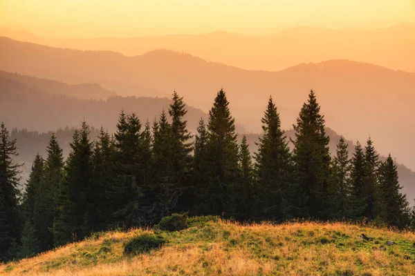 Bergtal Bei Sonnenaufgang Morgens Scheint Die Sonne Naturlandschaft Sommer Blick — Stockfoto