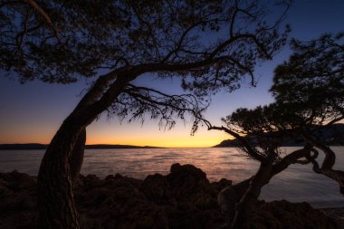 Gün batımının arka planında, deniz kıyısındaki ağaç siluetleri. Gün batımında deniz manzarası. Dinlenmek ve dinlenmek için bir yer. Yaz mevsiminde manzara. Akdeniz.