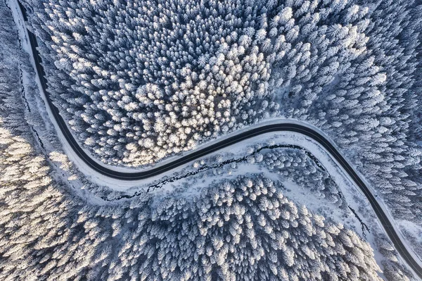 Vista Aérea Carretera Bosque Invierno Paisaje Natural Invierno Desde Aire — Foto de Stock