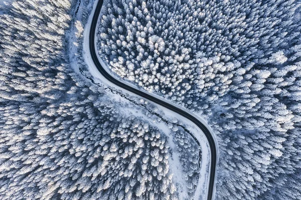 Frio Inverno Paisagem Natural Inverno Vista Aérea Estrada Floresta Inverno — Fotografia de Stock