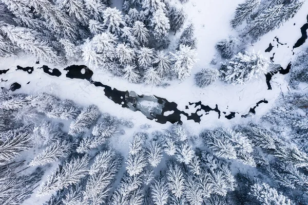 冬の寒さ 空気から自然の冬の風景 冬には川や森の空中ビュー 雪の下の森 — ストック写真