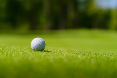 Golf sahası koruması için çim. Golf topu. Spor ve hobiler. Spor müsabakaları ve aktif eğlence. Bireysel ve takım oyunu. Arka plan olarak çim.