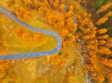 Virajlı ve arabalı bir yolun insansız hava aracı görüntüsü. Ormanın ortasında asfalt yol. Havadan sonbahar manzarası. Ulaşım ve yol gezileri. Arkaplan, duvar kağıdı, kartpostallar için fotoğraf.