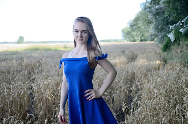 Buğday Tarafından Çevrili Mavi Elbiseli Genç Kız Kadın Modeli Açık — Stok fotoğraf