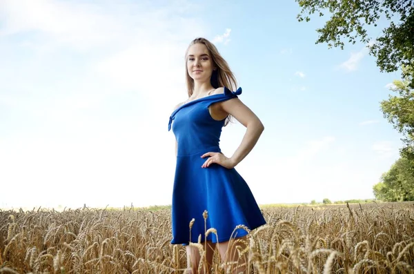 Молодая Девушка Синем Платье Окружении Пшеницы Женская Модель Фотосессия Открытом — стоковое фото
