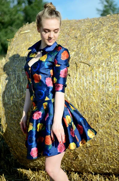 Modelki Sesja Zdjęciowa Odkryty Gruntów Rolnych Lecie Dziewczyna Sukience Kolorowe — Zdjęcie stockowe