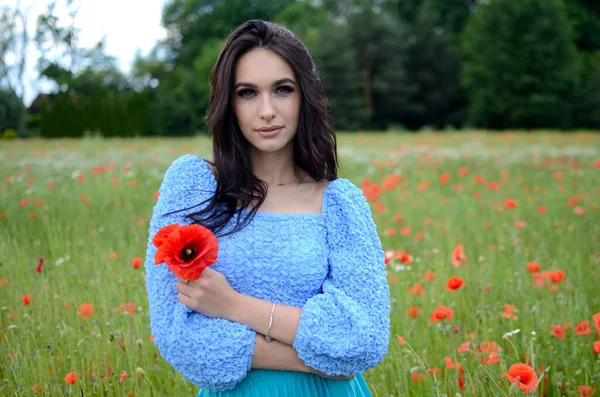 Summer Season Young Woman Poppy Field Beautiful Brunette Wearing Blue — Stock Photo, Image