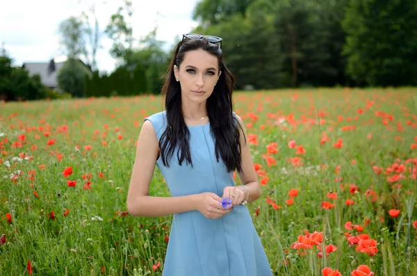 Temporada Verão Jovem Mulher Campo Papoula Linda Morena Vestindo Vestido — Fotografia de Stock