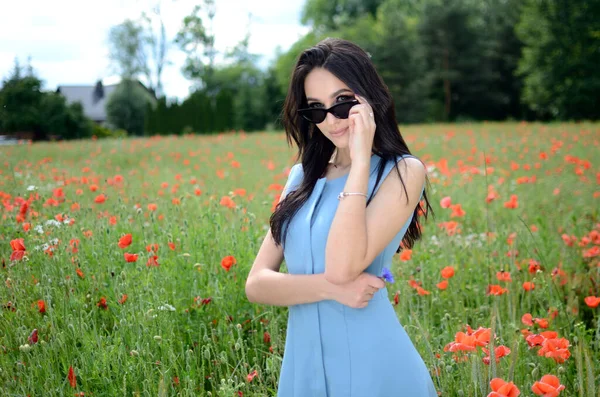 Summer Season Young Woman Poppy Field Beautiful Brunette Wearing Blue — Stock Photo, Image