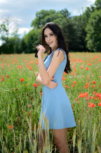 Sommersaison Junge Frau Mohnfeld Schöne Brünette Trägt Blaues Kleid Umgeben — Stockfoto