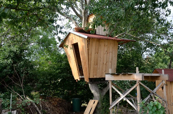 Wooden house on the tree in garden. Dresden city, Saxony state in Germany.