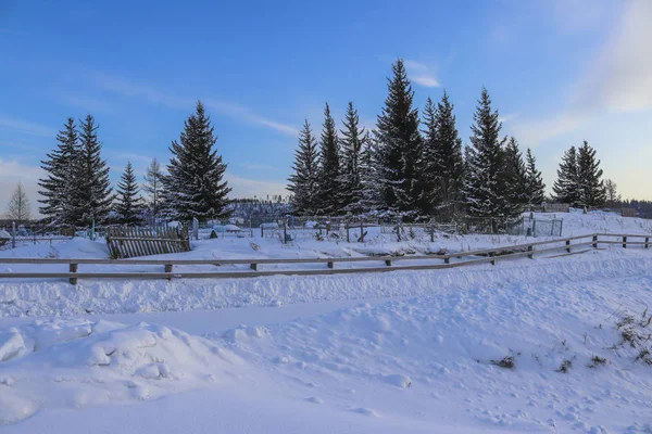 Winter Begraafplaats Siberië Rusland — Stockfoto