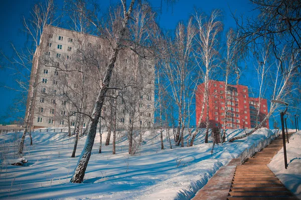 Архитектура Природа Зима Сибирь — стоковое фото