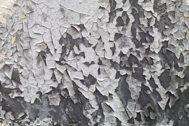 Gri kontrast dokusal arka plan duvarı