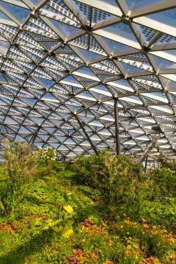 Zaryadye Parkı'nın kubbesinin altındaki alan. Moskova