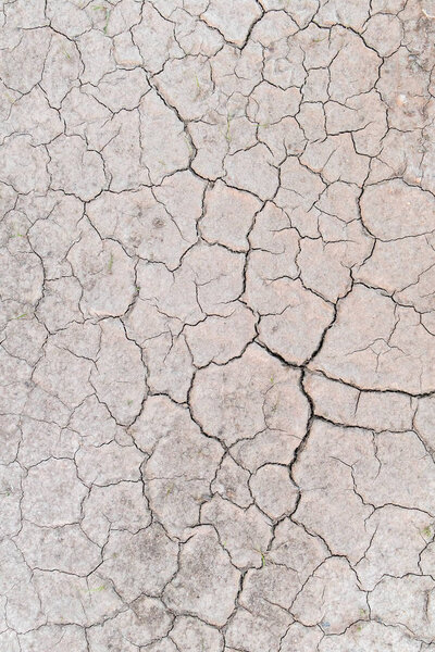 Текстурированные трещины на суше
