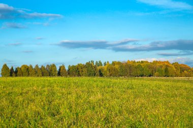 Yaz sonunda güneşli bir günde manzara