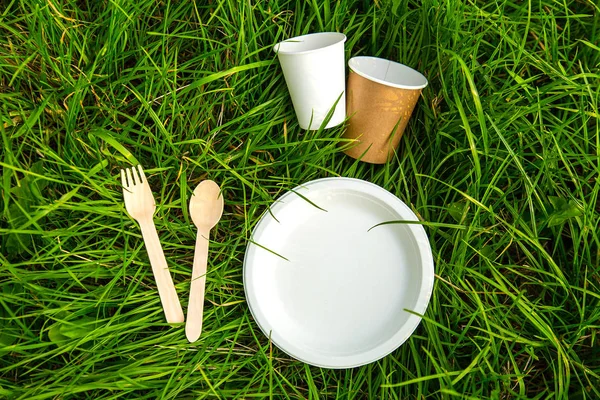 Tableware eco-friendly material green grass