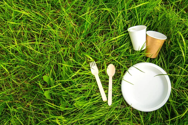 Tableware eco-friendly material green grass