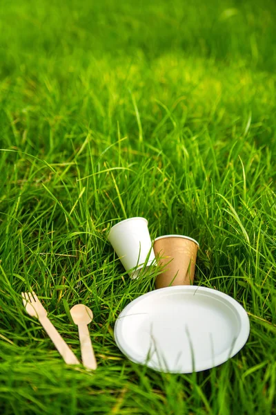 Tableware eco-friendly material green grass