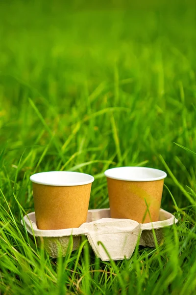 Kraft csésze tartó, zöld fű — Stock Fotó