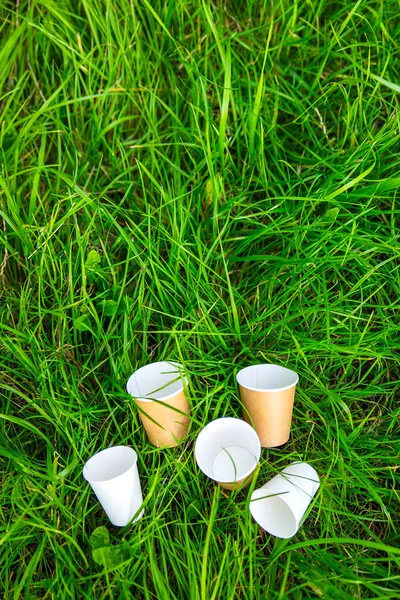 Környezetbarát anyag-csésze fű — Stock Fotó