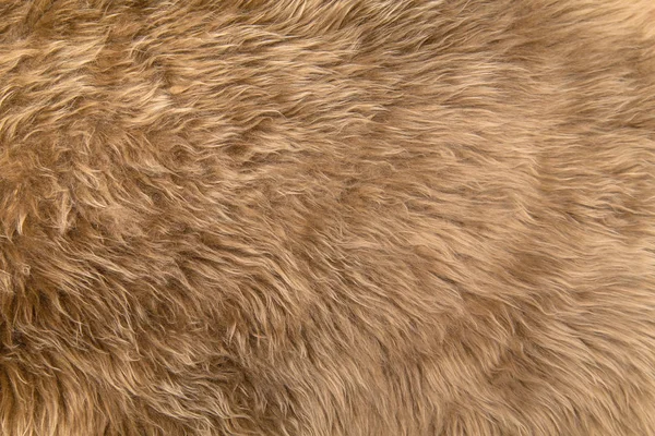 Textured faux beige fur background — ストック写真